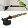 Wood Parrot Perch Prevent Slip Interactive Bird Window Perch Stand With Suction Cups For Small Medium Bird 1