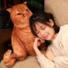 Simulation Cat Plush Throw Pillow Toy Real Life 3D Stuffed Animals Kitten Plushies Doll Cushion Cartoon Soft Kids Toys for Girls 5