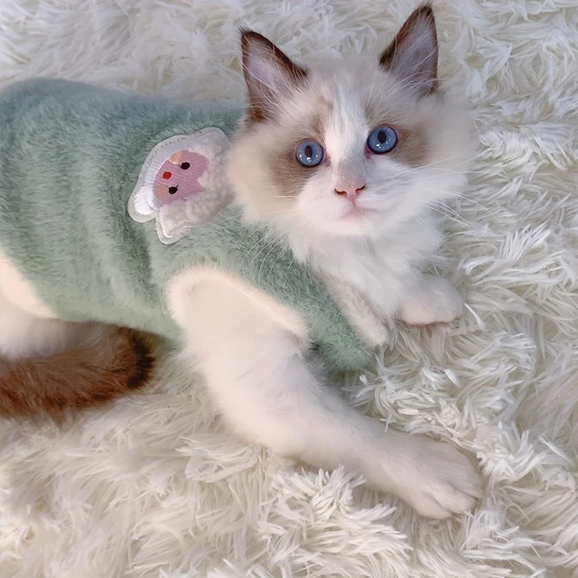 Warm Winter Kitten Clothes 3