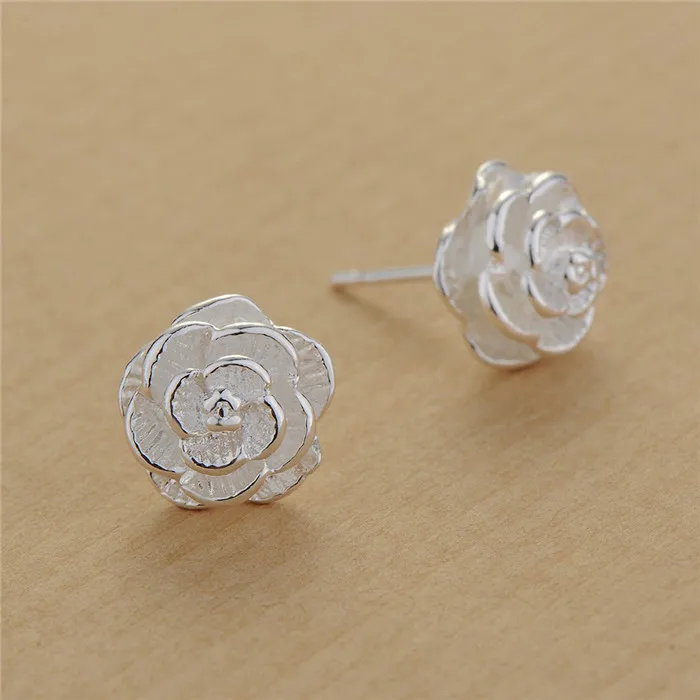 Stud earrings,dangle earrings,hoop earrings,drop earrings,pendant earrings,long earrings,crystal earrings,ear loops jewelry,geometric earrings Silver Woven Spherical Earrings Woman Jewelry