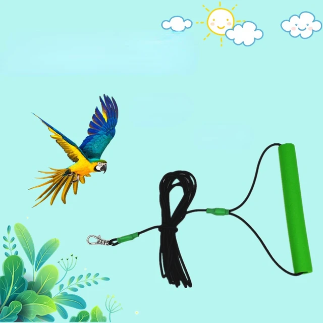 Bird Rope Parrot Harness Parrot Release Accessory Traction Rope For Birds  Bird Walking Parrot Training Rope For Outdoor Training - AliExpress