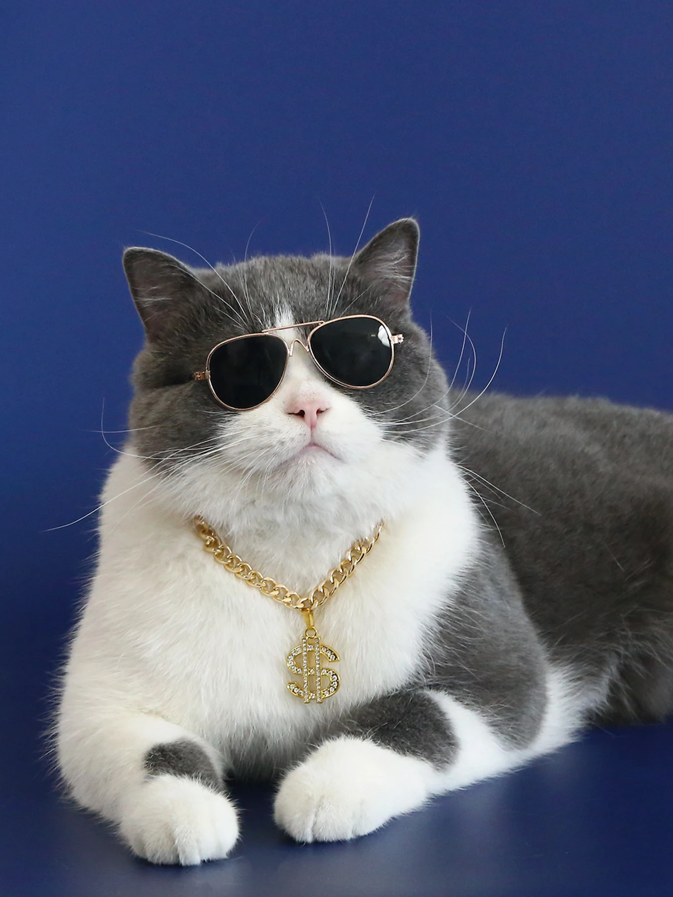 Luxury Adjustable Pet Collar Fashion Necklace