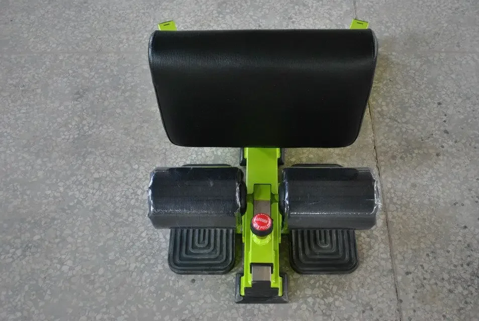Commercial Gym Equipment Sit Up Sissy Squat Bench Machine for Muscle Building