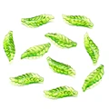 50pcs Style 04