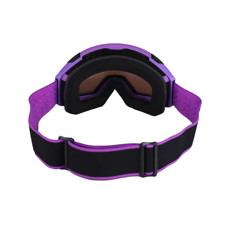 Ski Goggles Replacement Lens Doublelayer Antifog Cross