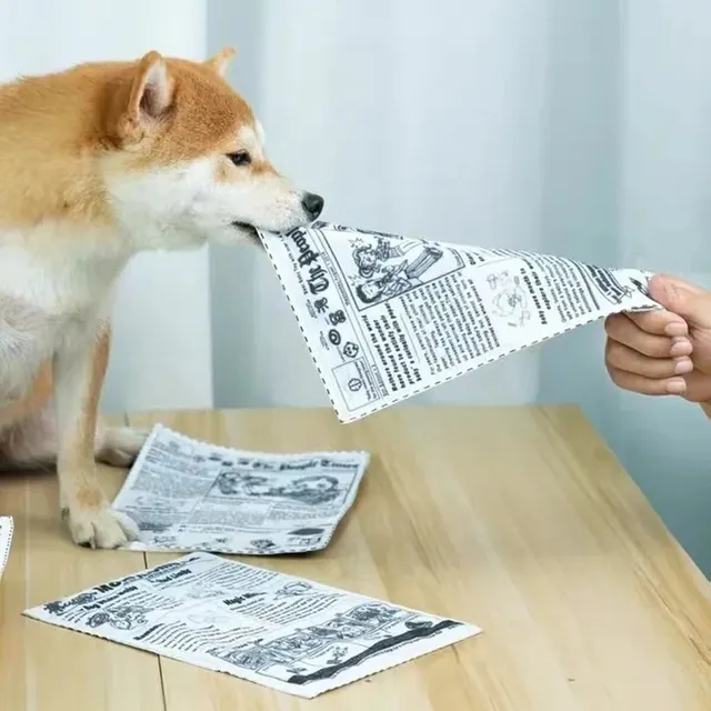 1pc Tearproof Pet Dog Sound Toy Simulated Squeaking Newspaper Playingcard K Q J Teeth Resistant Corgi Teddy Puppy Interactive 1pc Tearproof Pet Dog Sound Toy Simulated Squeaking Newspaper Playingcard K Q J Teeth Resistant Corgi Teddy Puppy Interactive