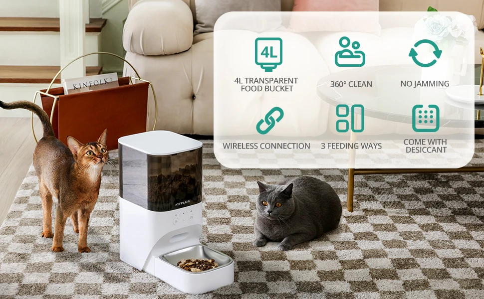 automatic cat feeder