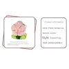 Tulip Flower Flower Makeup Brush Storage Bucket Pen Container Retro Flower Ceramic Tulip Pen Holder Ceramic Cute 6