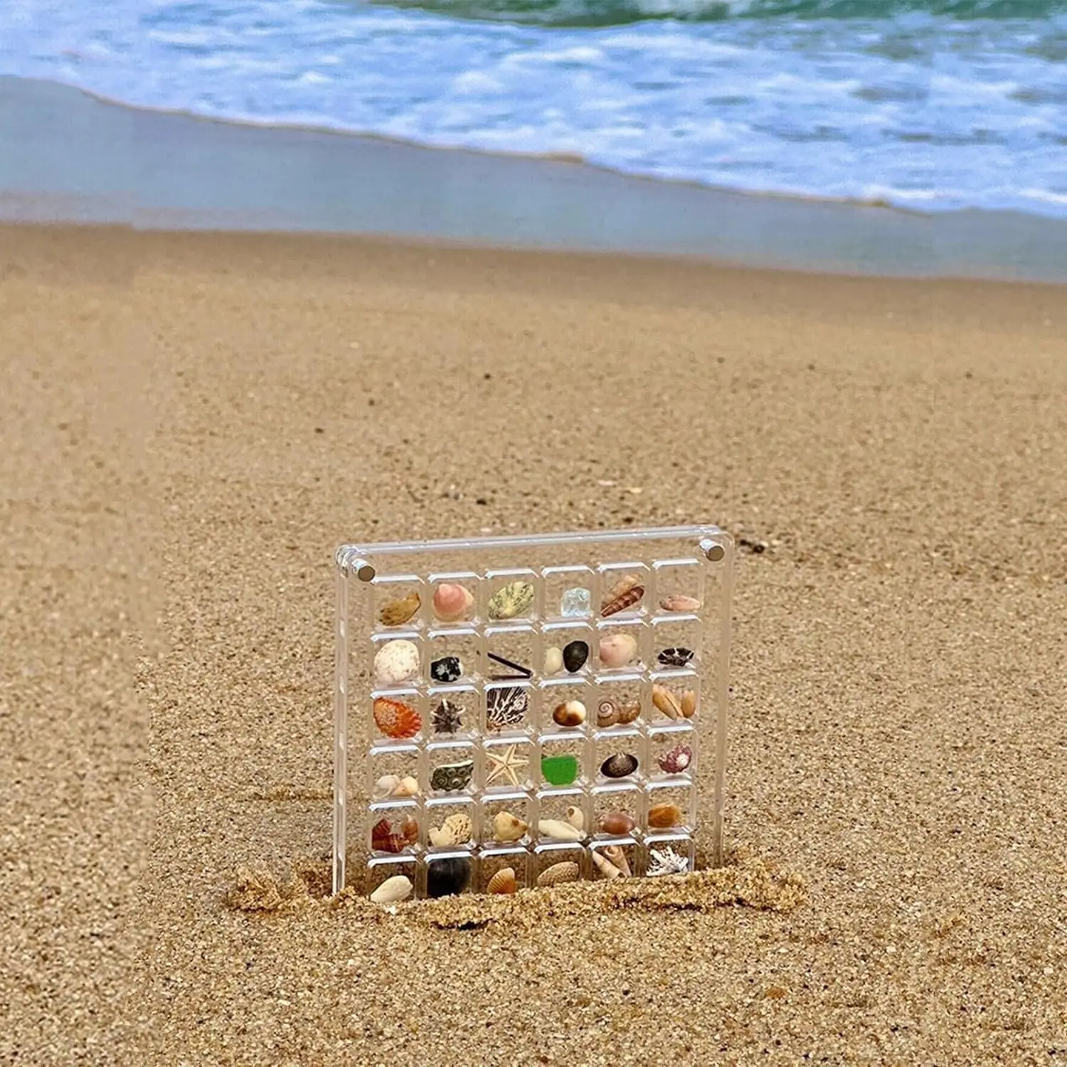 Caja de exhibición de conchas marinas, vitrina de acrílico transparente, vitrina magnética de acrílico para regalos