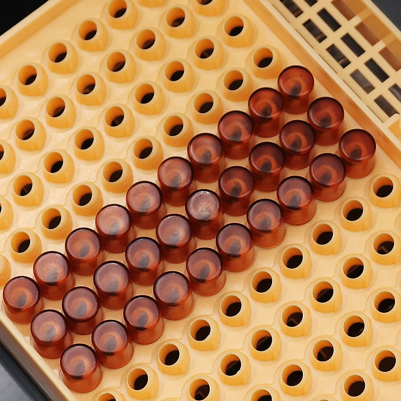 Beekeeping-Queen-Rearing-Cell-Cup-Box-Kit-Plastic-Honeycombs-Queen-Cage-Isolation-Apiculture-Equipment-Accessories.jpg Méhészet Queen Tenyésztő Cella Pohár Doboz Készlet Műanyag Méhsejt Ketrec Izolációs Apikulturális Berendezések Kiegészítők - Image 6