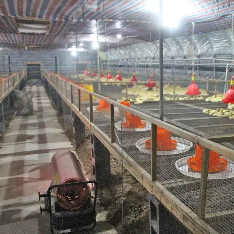 Cheap Industrial Powerful Kerosene Diesel Oil Fired Air Heater for Poultry Farm and Greenhouse 4