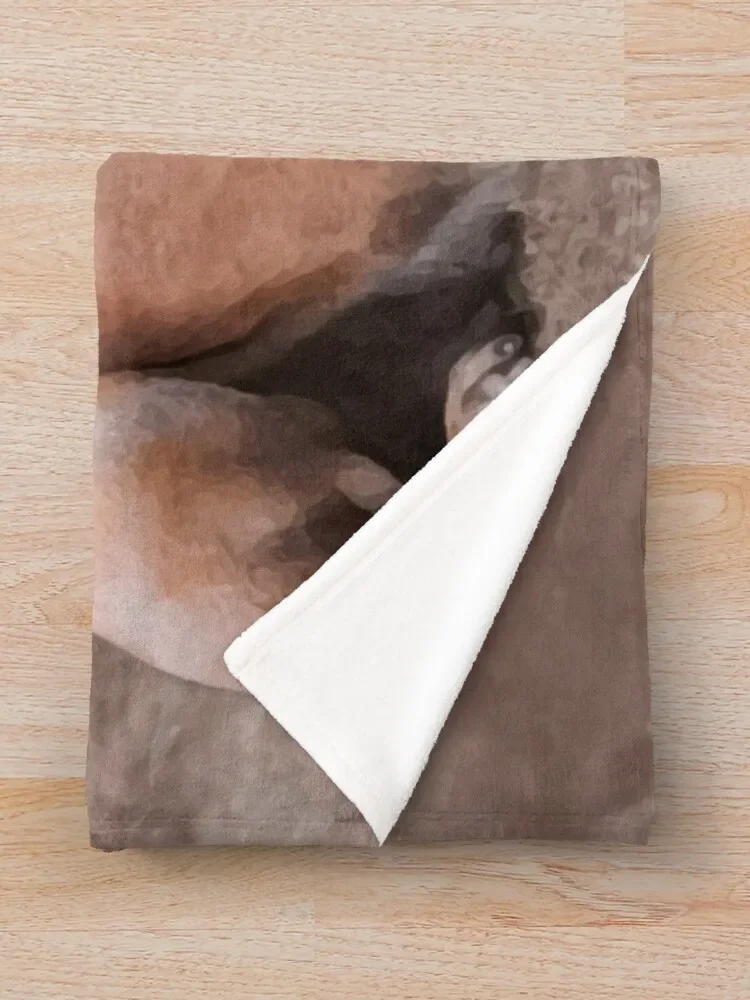 Malinois���⿡ ��ġ��-Mechelaar ��ô ���, ����� �ö���, ǫ���ϰ� ǫ���ϰ� ǫ���� �Ϳ��� ���