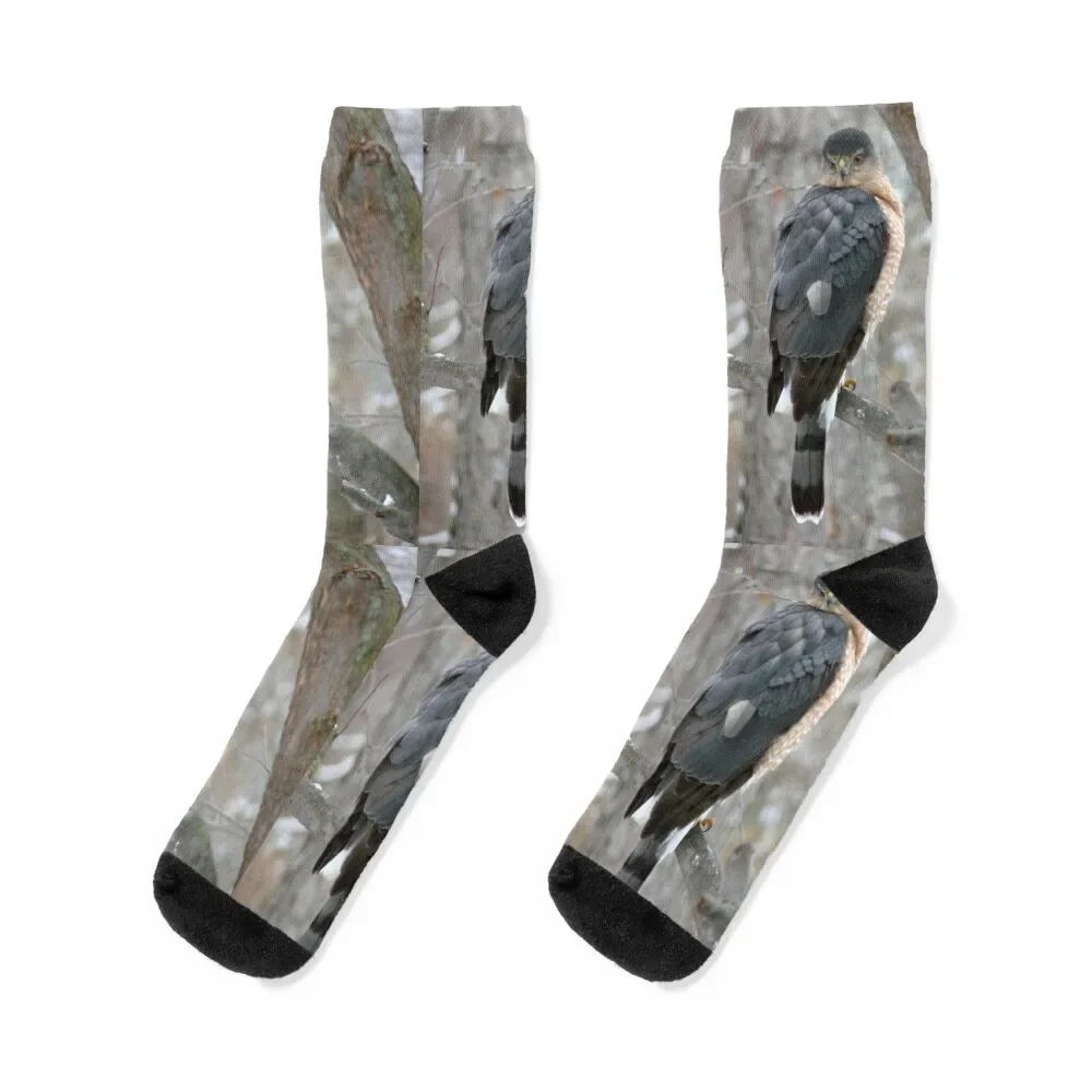 

Cooper's hawk Socks Novelties cycling designer brand cute Men Socks Luxury Brand Women's