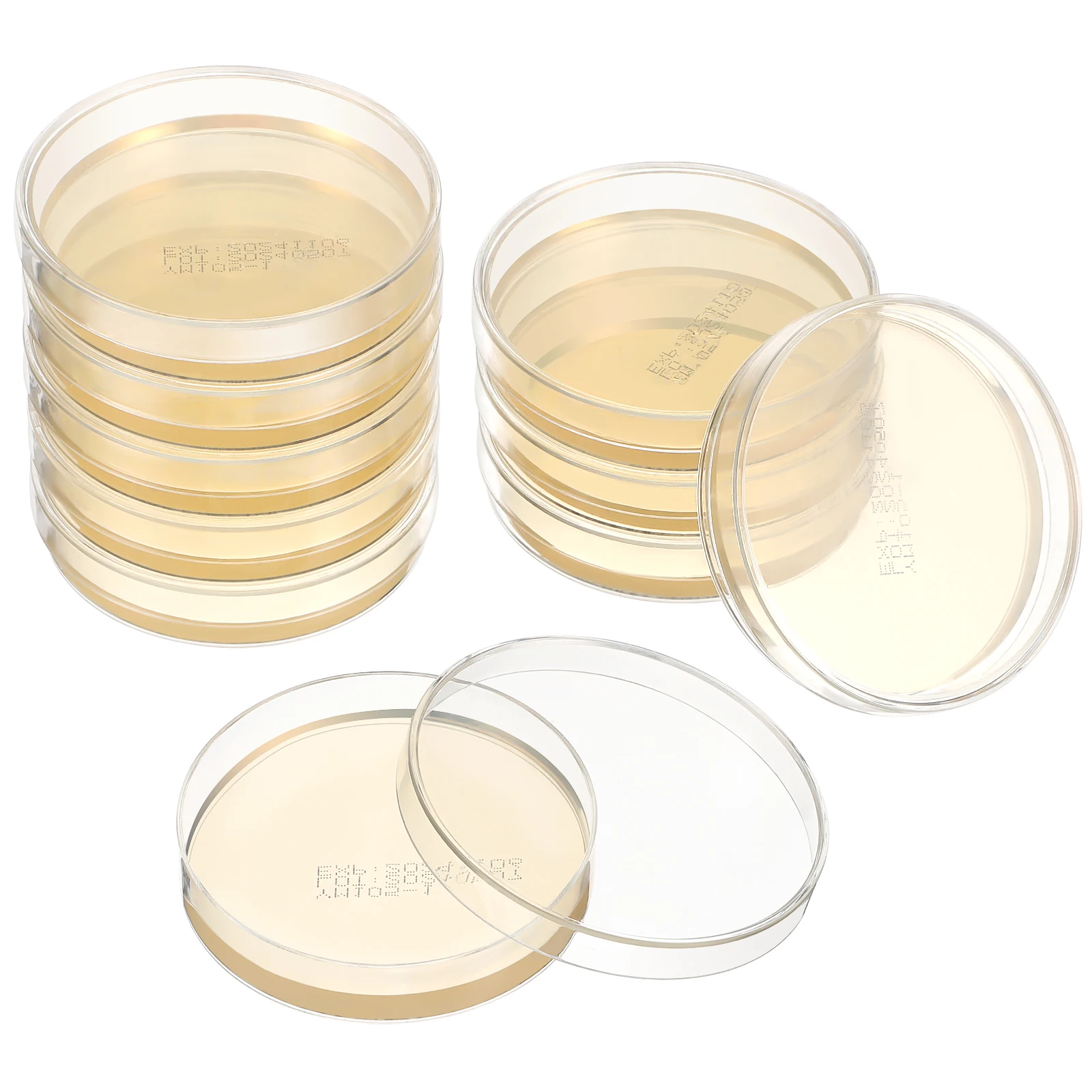 10pcs Prepoured Agar Plates Nutrient Agar Plate 7cm Petri Dishes with Laboratory Powder Prepoured Science Experiment Supply