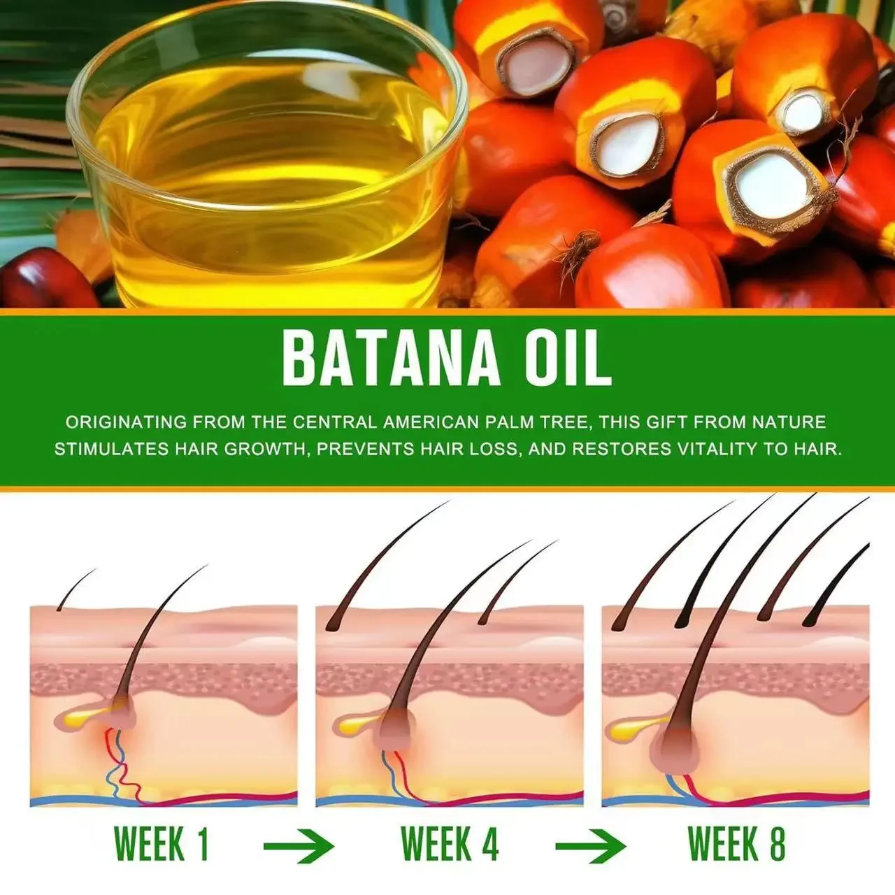Hair Essence Oil Hair Growth Oil Hair Oil Raw Batana Oil For Hair Growth Natural Can Prevent Hair Loss in Both Men and Women Increase Thickness and Smoothness