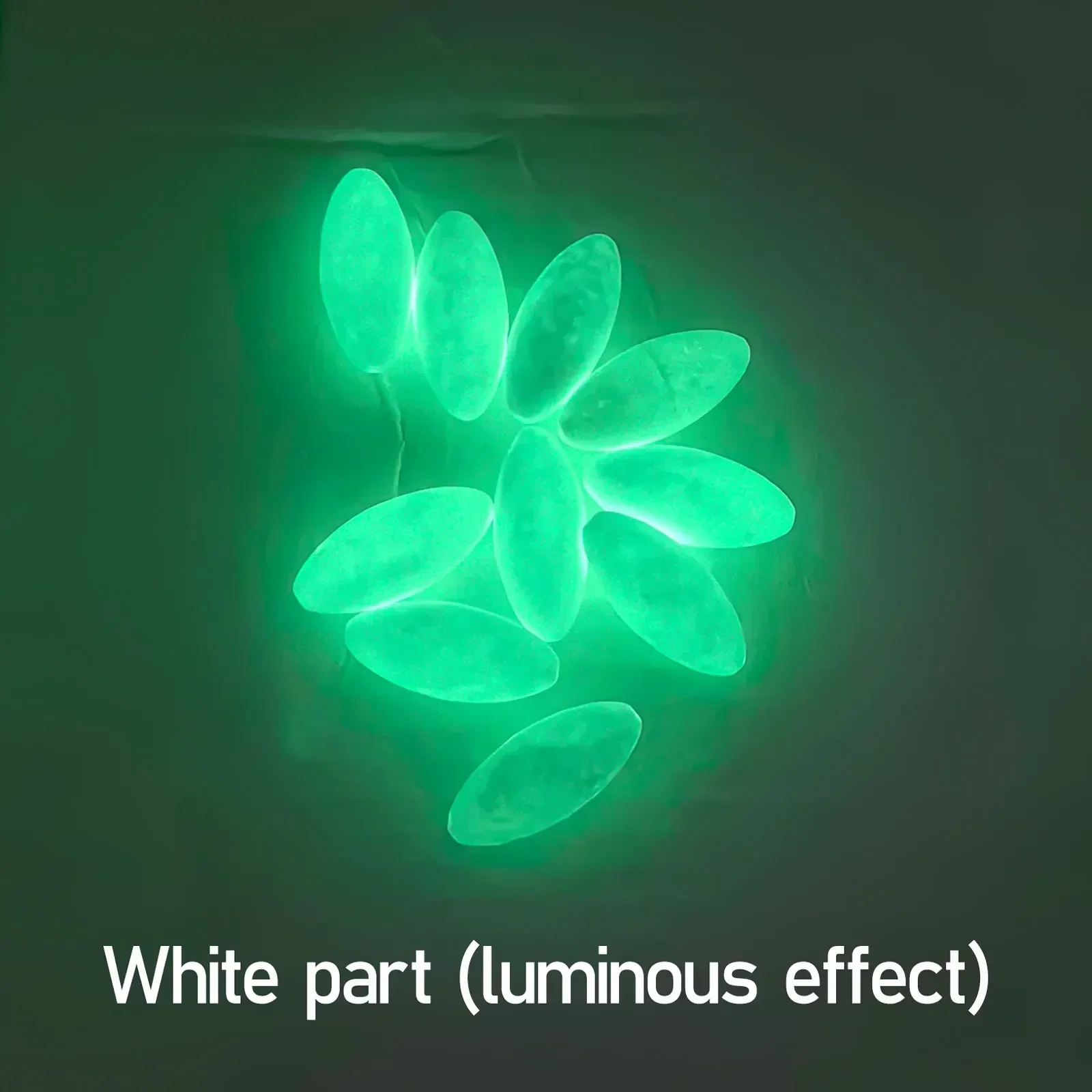 Flotteur ovale Topranc luminescent pour appâts pêche eau douce et mer accessoires