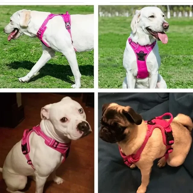 No-Pull Reflective Pet Harness 4