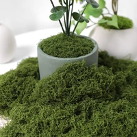 30/50/100g Artificial Green Plants Moss Grass Home Living Room Garden Decoration Mini Landscape Fake Flower DIY Crafts