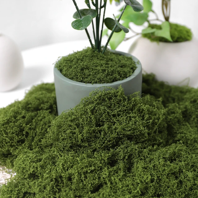 30/50/100g Artificial Green Plants Moss Grass Home Living Room Garden Decoration Mini Landscape Fake Flower DIY Crafts