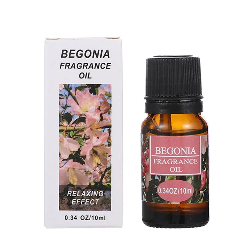 Begonia