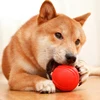 MADDEN S-XL Sizes Solid Rubber Balls Bouncy Ball Bite Resistant Indestructible Dog Training Interactive Ball Pet Toy Molar Ball 3