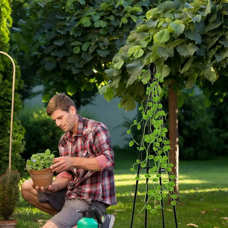 Garden Climbing Vines Flowers Stands Trellis Plant Support Climbing Plants Lattice Rose Plant Balcony Climbing Bracket For Plant