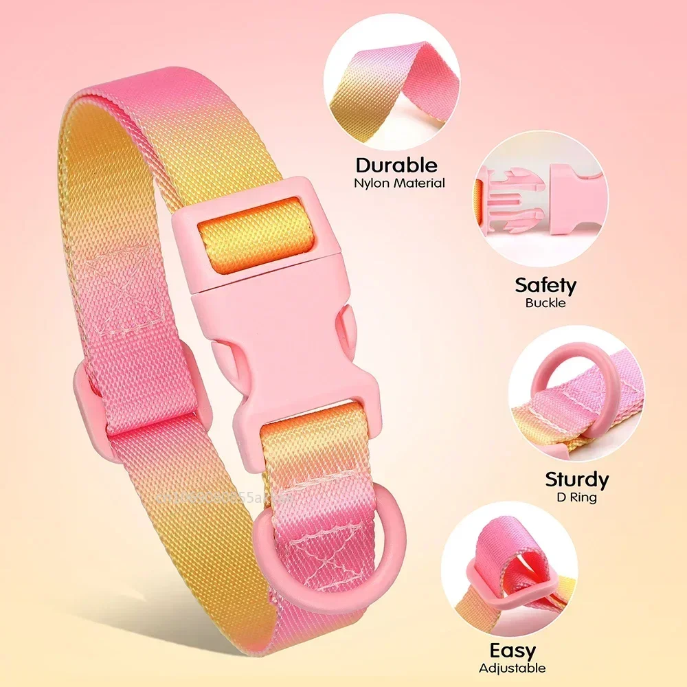 Gradient Nylon Dog Collar Adjustable 4