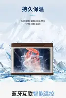 Compresseur de Glace pour Voiture, Double Porte, Cloison Indispensable, Contrôle de la Température des Touristes, Congélateur 5