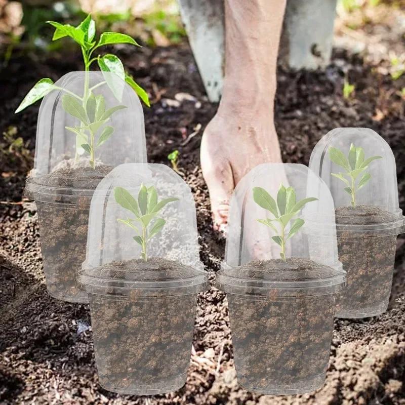 Clear Nursery Pots with Covers - Plant Seedling Holders and Garden Containers (5/10 Pack)