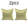 Fruit green 2pcs