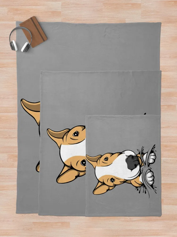 �Ϳ��� ������ �� �׸��� �´װ� ��� ���, ǫ���� ���,  ���� ���� ���� ���