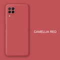 JK Camellia red