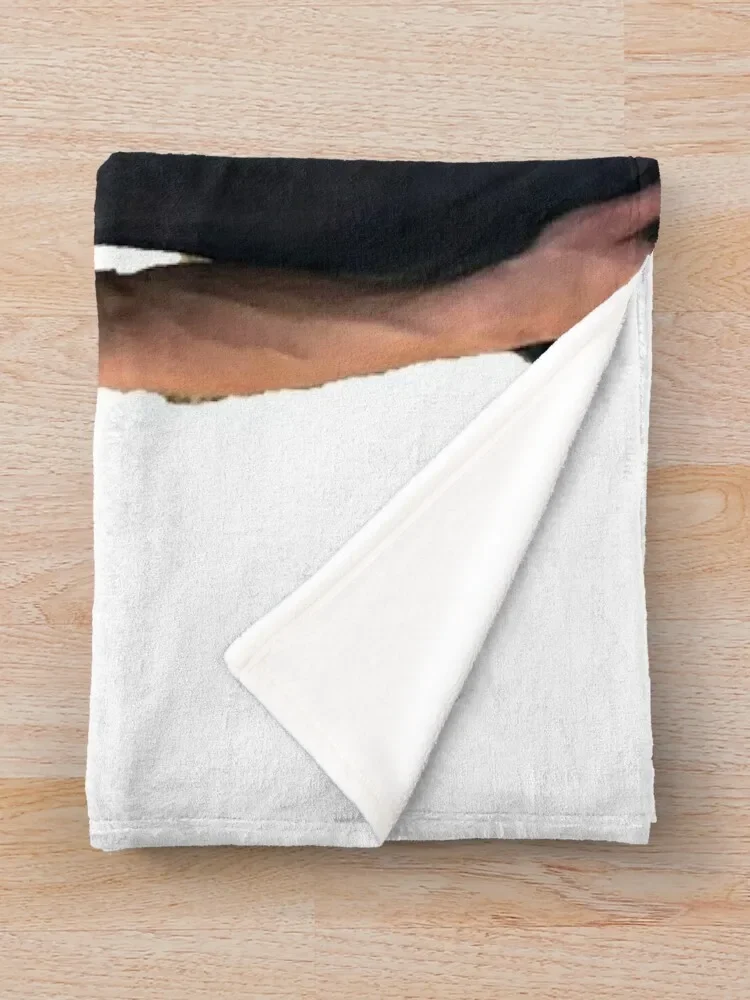 �� Ȧ���� �ʴ��� ������ ���, ���� �̺�, ħ�� ���� ���� ���