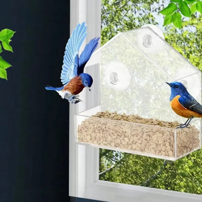 Clear Window Bird Feeder 4