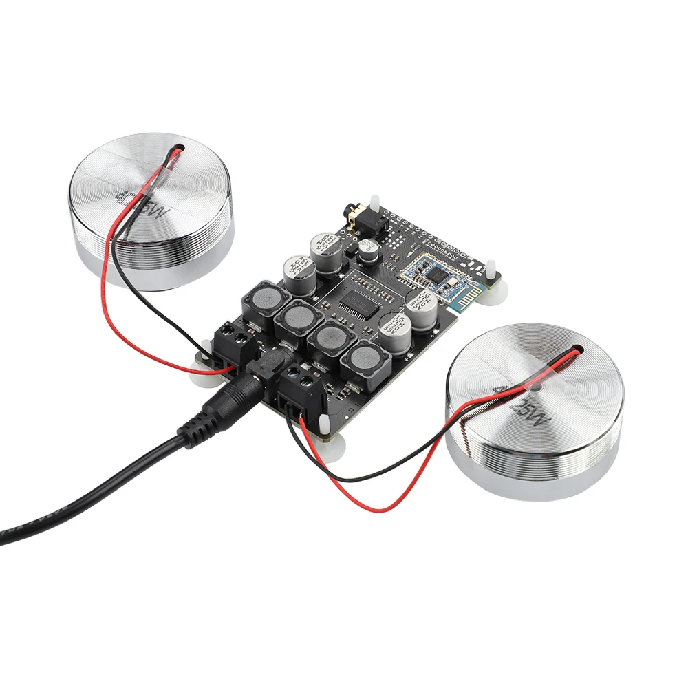 AIYIMA Audio 2 Inch Portable 25W Resonance Vibration Speaker TPA3118 Bluetooth 5.0 Amplifier Neodymium Loudspeaker DC 12V 5A