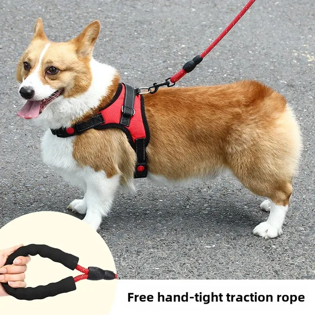 Pet Dog Leash Chest Strap Outdoor Walking Rope Explosion Proof Small Medium Large Dog Pet Supplies China Mainland Origin
