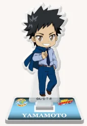 Katekyo Hitman Reborn! Mukuro Rokudo Ani-Art Aqua Label Clear File (Anime  Toy) - HobbySearch Anime Goods Store