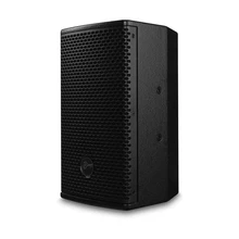  2021 New Arrival swans PS600 6 inch Professional audio speaker peak power 500 watt used in public places of churches 