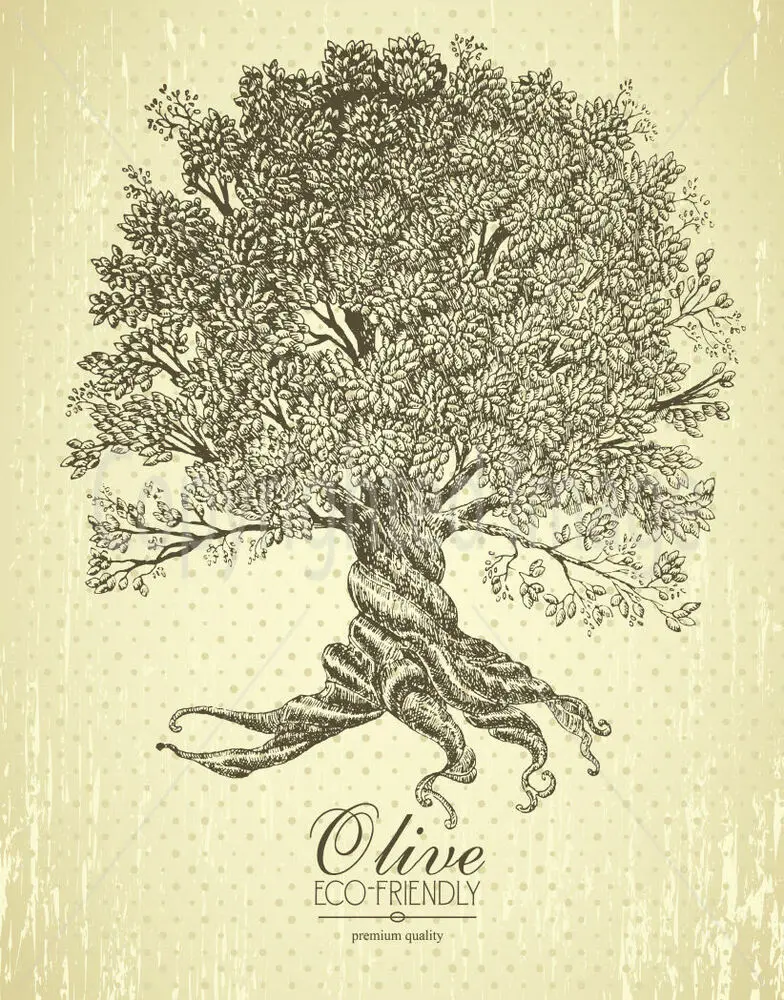 Cartel De Hojalata De Metal, Placa De Pared, Rucbol De Olivo