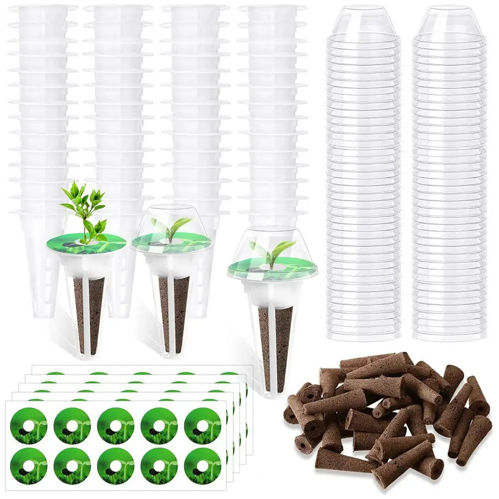 Cilantro Growing Kit Hydroponic Growing Kit 120pcs Aerogarden
