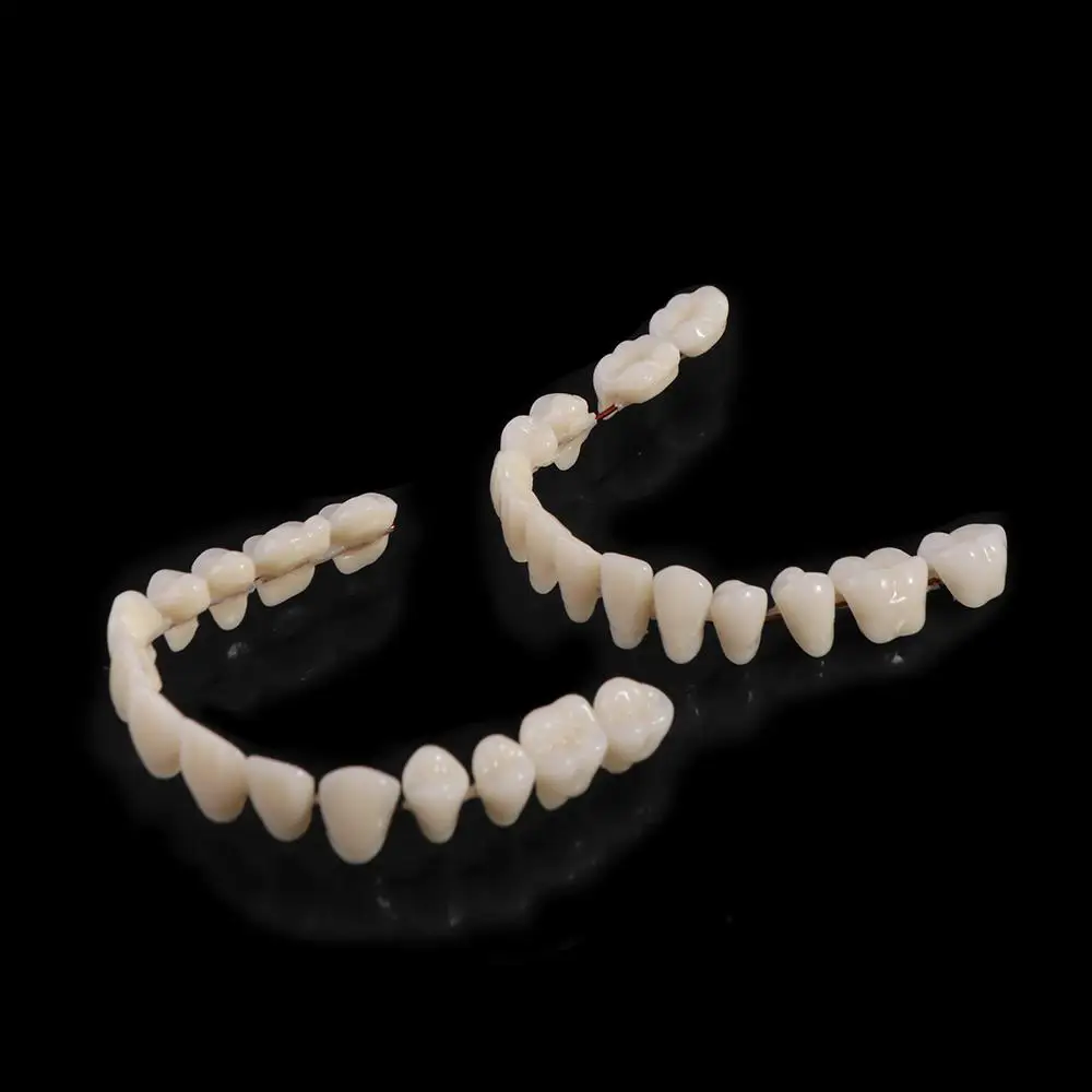28 Pcs Resin Denture False Teeth Firm Improve Smile Dental Teeth Teaching Model Make Your Own Easy To Use Dental Training Models