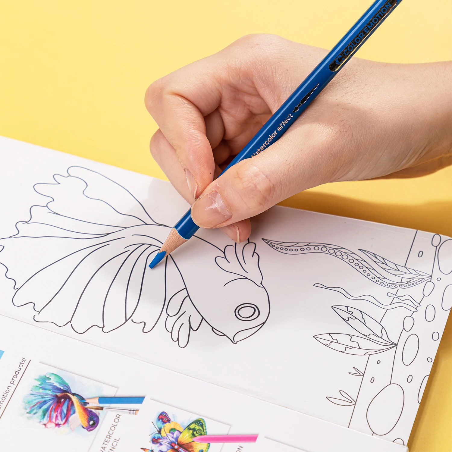 Deli Watercolor Pencil 12 / 24 / 36 Colores Drawing Pen Art Set Children Kids Painting Sketching Water Color Pencil Kit 6