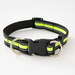 Durable Dual D - Ring Dog Collar - M (Fluorescent Green)