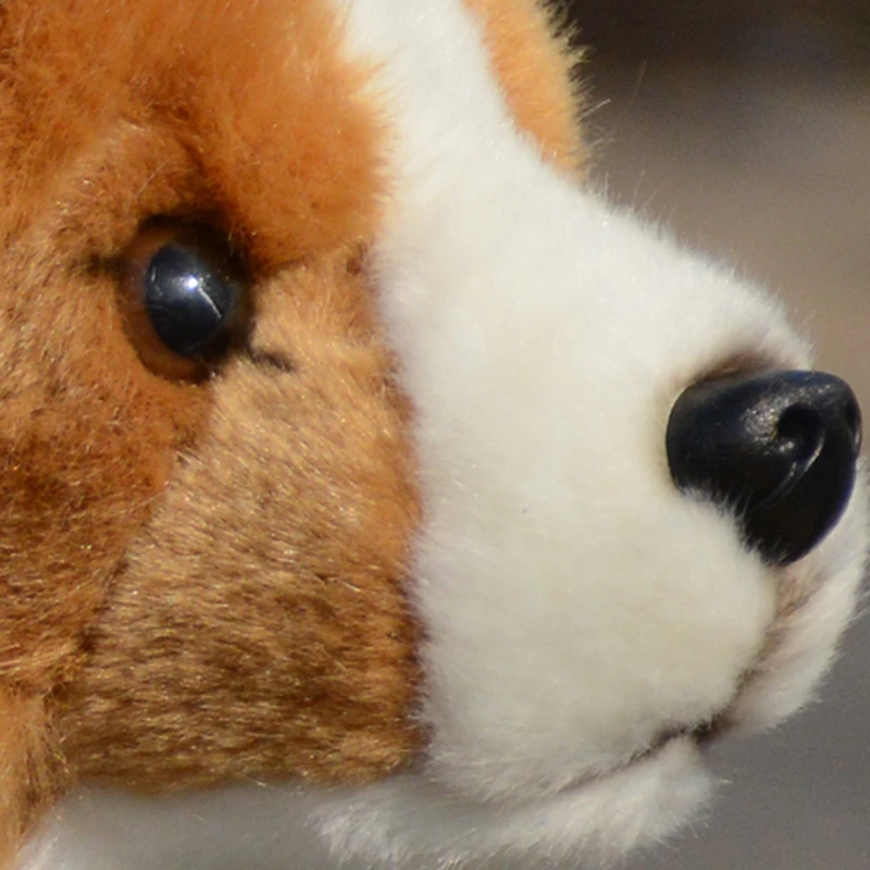 Welsh Corgi Dog High Fidelity Anime Cute Plushie Corgi Plush Toys Lifelike Animals Simulation Stuffed Doll Kawai Toy Gifts Kids 6