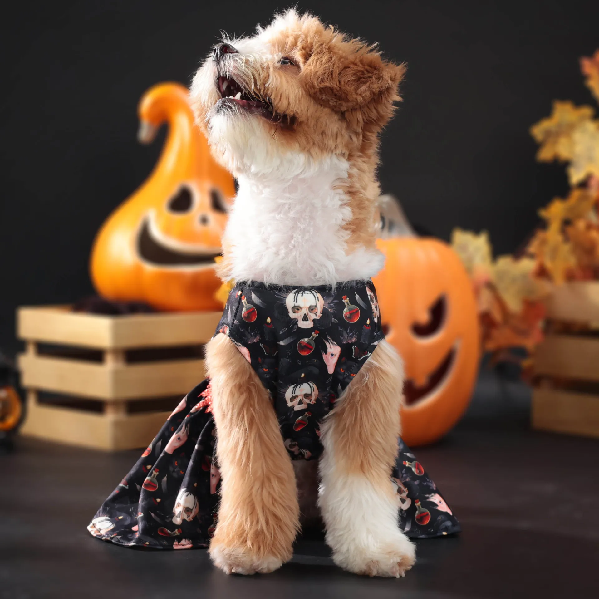 Robe Tête de Mort Amusante Halloween - Tenue Halloween 2024 - 2025 - Vêtement et accessoires pour chiens - Doglovedesign