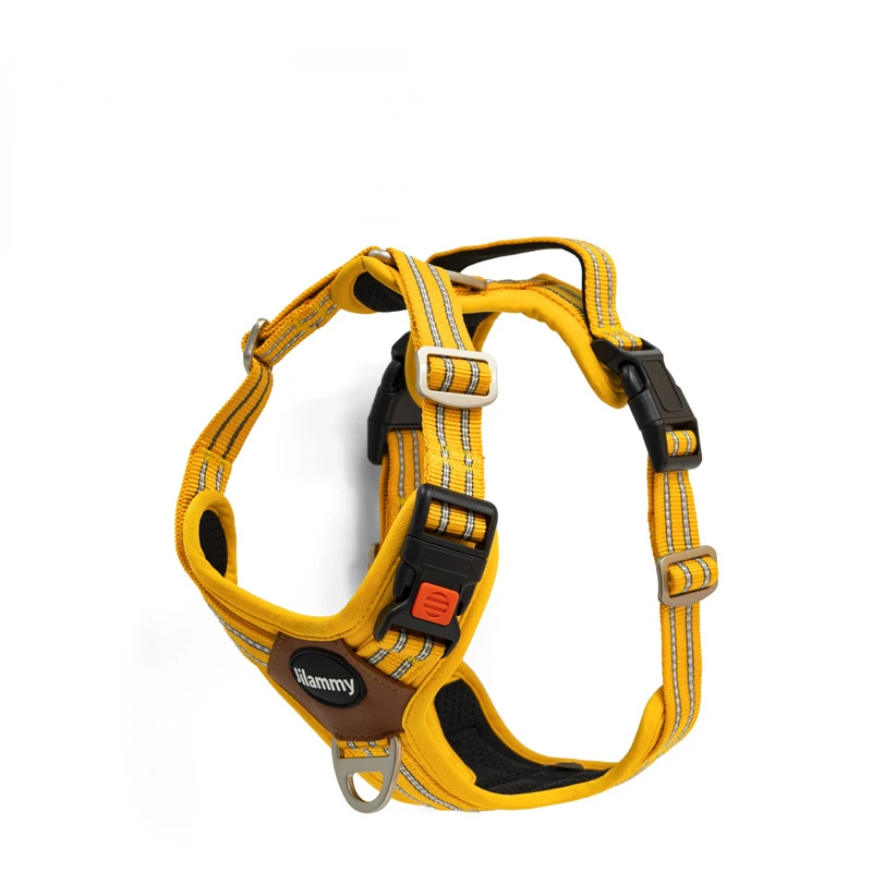 Il Prodotto Può Essere Personalizzato. Nuovi Prodotti Per Animali Domestici Amazon Temu Factory Cross-Border Vest Dog Traction Rope Large Vest Dog