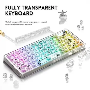 TKL Hot Swappable Wired Keyboard, Transparent PC Keycaps, Custom RGB Gaming Keyboard, Gasket Keyboard, Linear Switch 1