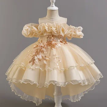 Fashion Flower Girl Dresses for Weddings Lace Mesh Sleeveless Party Dress for Kids Girl Summer Girls Party Dress 2-12 Years 1