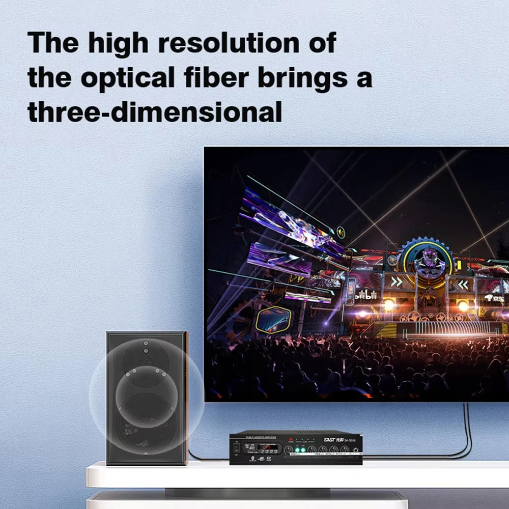 Dual Output Digital Optical Audio Splitter for Home Theater Stereo Systems