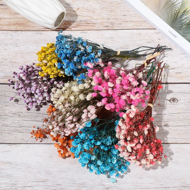 Mini fiori secchi freschi naturali conservati piccoli fiori secchi naturali  Bouquet fiori secchi stampa decorativa foto sfondo Decor - AliExpress